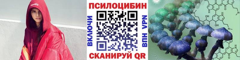 наркота Вологда Галлюциногенные грибы прущие грибы